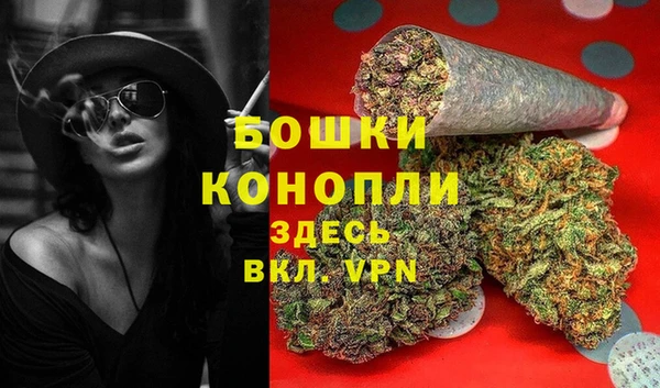 ПСИЛОЦИБИНОВЫЕ ГРИБЫ Михайловск